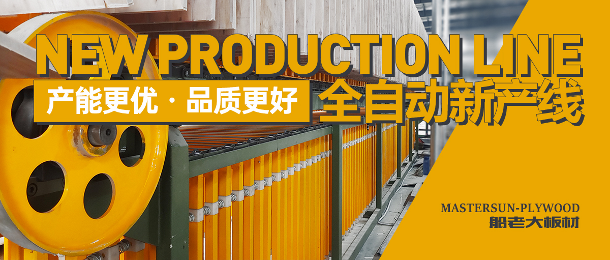 浙江船老大 | 龍年新氣象 · 自動化新產線投入使用